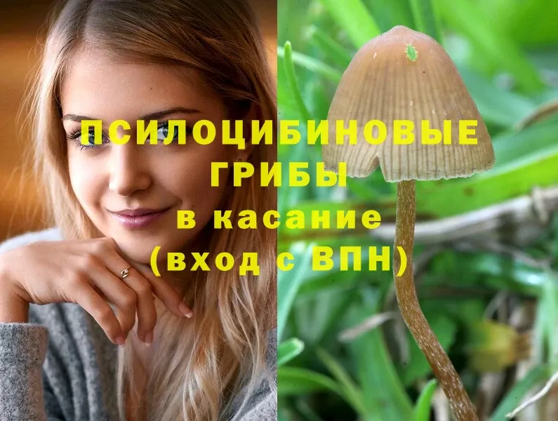 OMG ONION  Навашино  Псилоцибиновые грибы прущие грибы 